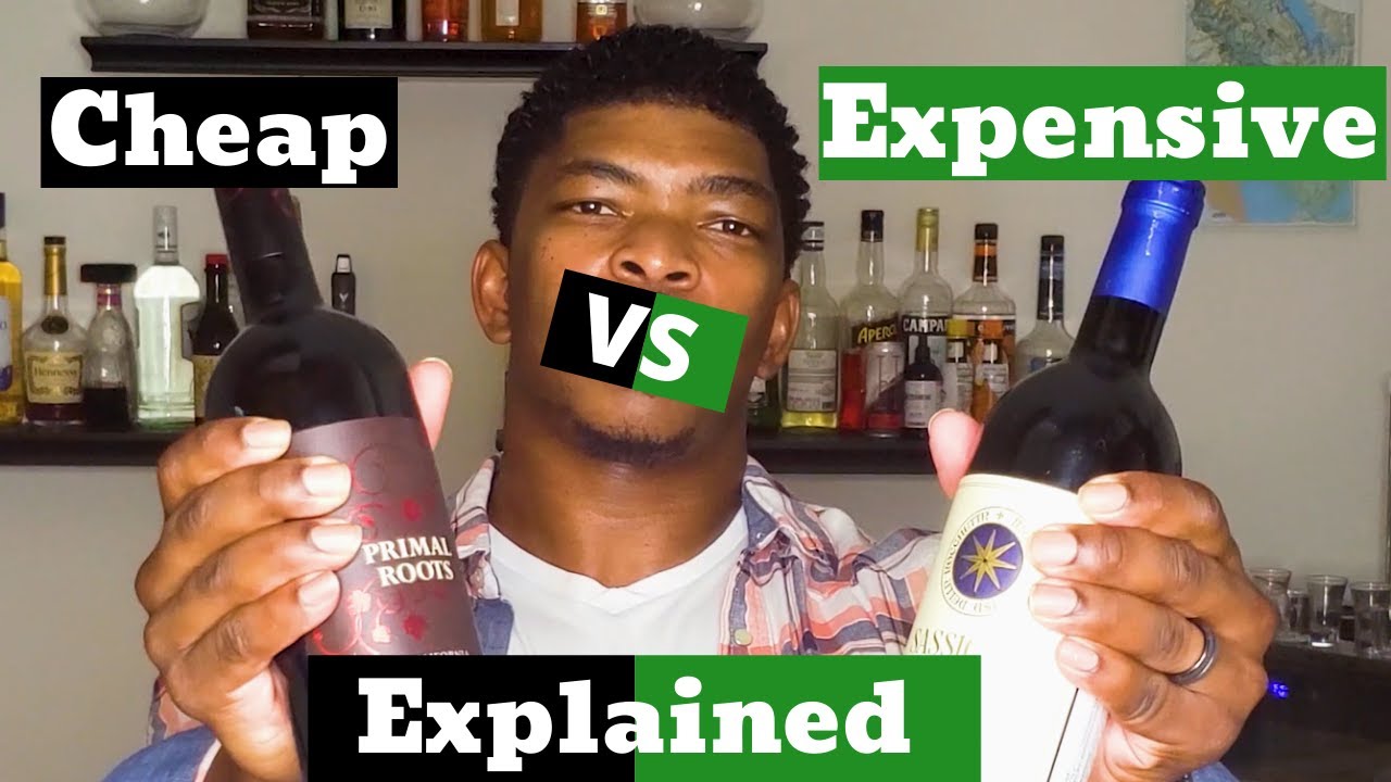 CHEAP WINES VS EXPENSIVE WINES YOUTUBE CHEAP WINES VS EXPENSIVE WINES YOUTUBE