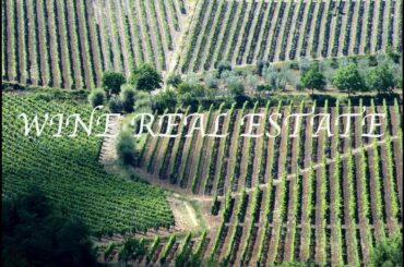 WINERIES & VINEYARDS FOR SALE ITALY EXPERT ADVICE , WINE REAL ESTATE  - Romolini | Christie's