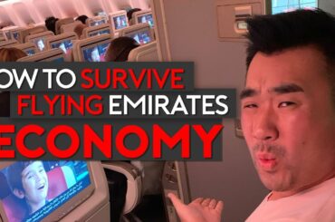 How to Survive Flying Emirates Economy Class (Top Tips)