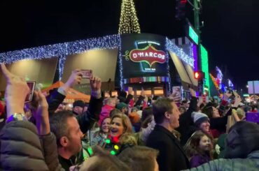 D'Marcos 2019 Holiday Bright Light Show