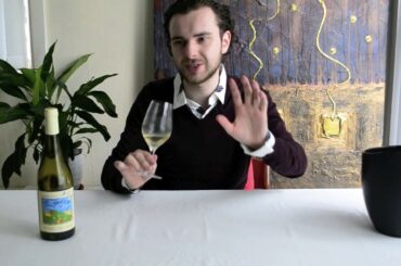 Wine Exper tastes Italian Wines: Torre dei Beati Pecorino d'Abruzzo