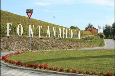 Fontanafredda, Serralunga d'Alba, Cuneo, Langhe, Piedmont, Italy, Europe
