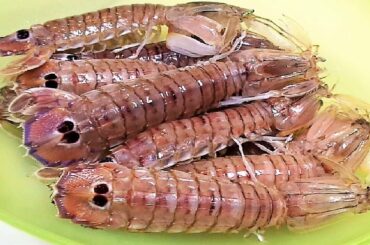 Italian Pasta Linguine with Mantis Shrimp. How to peel mantis shrimp | Canocchie Sugo