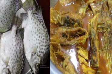 Bhajatari Macher Recipe / Very Tastey Bhajatari Fish Curry Cooking Recipe