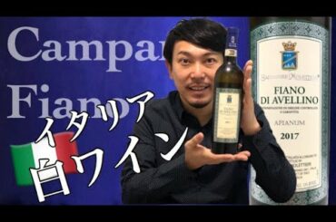【イタリア カンパーニャ 白ワイン】寒い日にキンキンの白！土着品種フィアーノの魅力に迫る！ゆきおとワイン102  Salvatore Molettieri Fiano di Avellino 2017