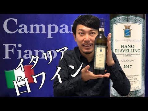 【イタリア カンパーニャ 白ワイン】寒い日にキンキンの白!土着品種フィアーノの魅力に迫る!ゆきおとワイン102 Salvatore Molettieri Fiano di Avellino 2017 【イタリア カンパーニャ 白ワイン】寒い日にキンキンの白!土着品種フィアーノの魅力に迫る!ゆきおとワイン102 Salvatore Molettieri Fiano di Avellino 2017