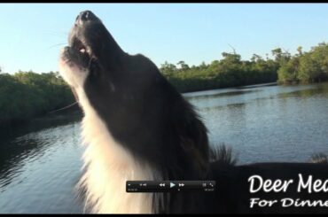 Ranch Life: catching, cooking, eating fresh fish