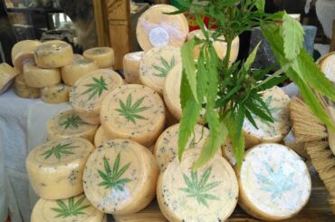 Cheese, Bra, Cuneo, Piedmont, Italy, Europe