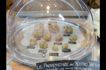 Alba, Cuneo, Piedmont, Italy, Europe