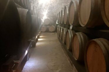 De' Ricci Historical Cellars, Montepulciano, Siena, Tuscany, Italy, Europe