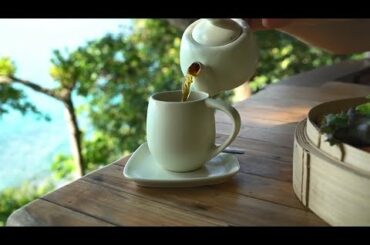 Most unique dining experience | Tree-pod restaurant in Thailand