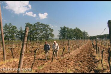 Orvieto, Italy: Family-Run Winery