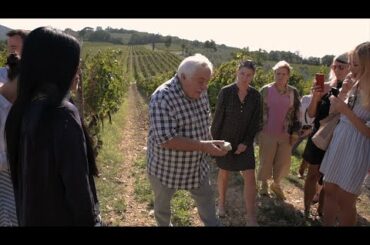 VIA #GitaScolastica | Bolgheri 2019 | Guado al Melo with  Attilio Scienza