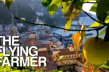 AMALFI COAST LEMON | A “How Does it Grow?” Special: THE FLYING FARMER