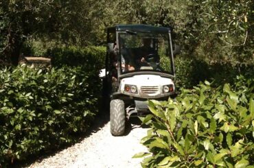 Monte Vibiano: oil and wine from the Green Heart of Italy