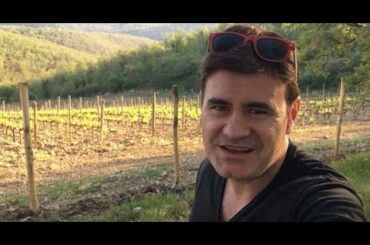 Castello di Ama wine tour, Tuscany