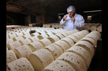 Trump planning $2.4bn tariffs on French wine, cheese and handbags in new trade war