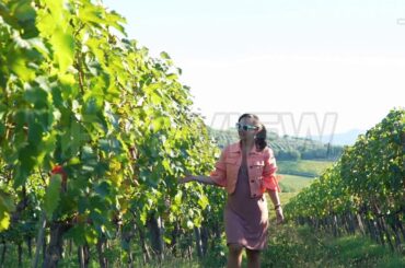 Embracing Vineyards Of Italy Stock Video