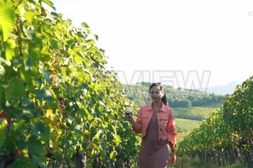 Holding Wine In Vineyard Stock Video
