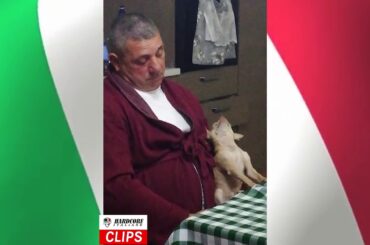 Italian man and dog sleeping after meal!
