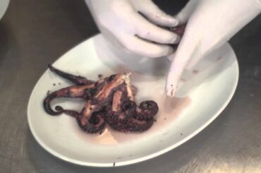 How to Cut & Prep Baby Octopus : Recipes Done Right