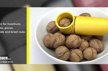 Italian made and designed Rompi Nutcracker