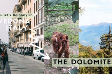 Exploring Juliet's Balcony in Verona, Italy to Llamas in The Dolomites (Italy Travel Guide)