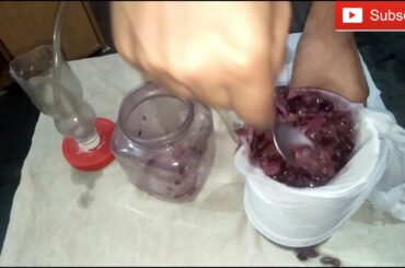 Make Grapes wine at home part 2. all Wines & Desi Shrab Ayurvedic Recipes