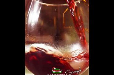 Colosseum Italian Restaurant Seminyak