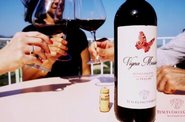 Winery Tenuta Cocci Grifoni Italy