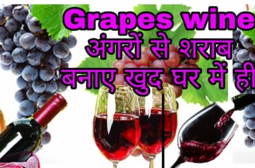 Make grepes wine at home in India. food & desi shrab recipes