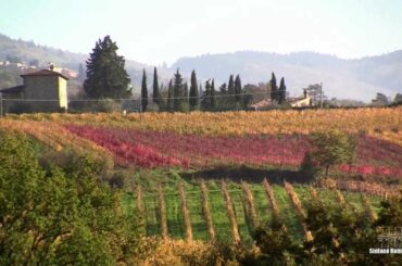 Enchanting Chianti Wine Tour ~ with Stefano Rome Tours