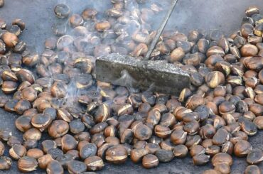 Roasting Chestnuts. Slovenia and Italy Street Food