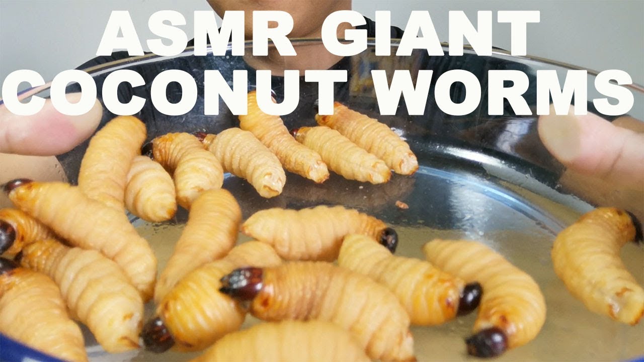 Mukbang Eating Live Sago Worms (ASMR USA Japan Korea Canada UK Germany Australia France Italy) Mukbang Eating Live Sago Worms (ASMR USA Japan Korea Canada UK Germany Australia France Italy)