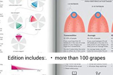 Wine Folly: Magnum Edition: The Master Guide - REVIEW