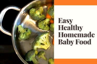 Easy Healthy Homemade Baby Food - Chicken & Vegetable Puree
