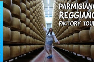 Parmigiano Reggiano Cheese Factory Tour