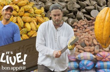 Brad Makes Chocolate in Ecuador: Part 1 | It's Alive | Bon Appétit