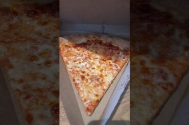 New York Style Pizza VS Detroit Pizza