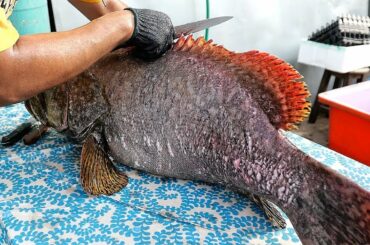 Thai Street Food - GOLIATH GROUPER FISH Cutting Skills Bangkok Seafood Thailand
