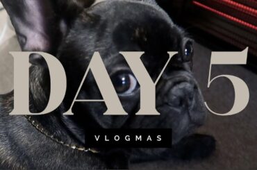 Vlogmas Day 5 : Odin's Morning Routine |Italian Dinner