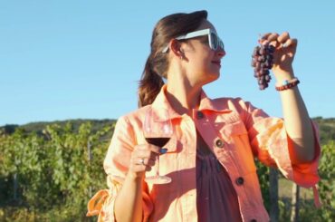 Wine Experience on Western Sicily  Best Destination