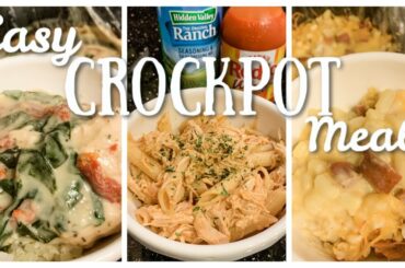 5 FAVORITE CROCKPOT MEALS COMFORT FOOD & WW APPROVED!