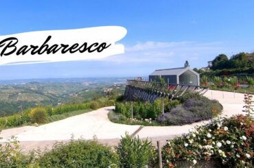 Barbaresco Treiso Vlog | Travel with Nat | Nataliya Kovaleva blog
