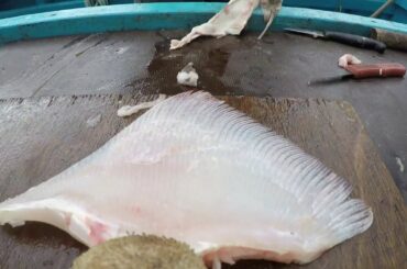 Preparing and Skinning Ray and Skate for Eating