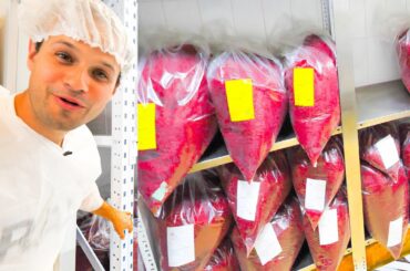 Traveling to Iran's $1,000,000 SAFFRON BANK!!! + HUGE Iranian Street Food Tour of Mashhad, Iran!!!