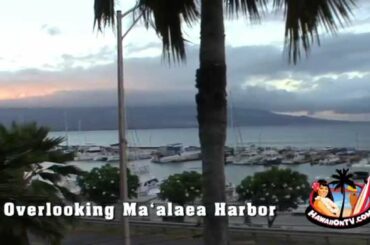 Saltimbocca Italian Restaurant - Maui, Hawaii