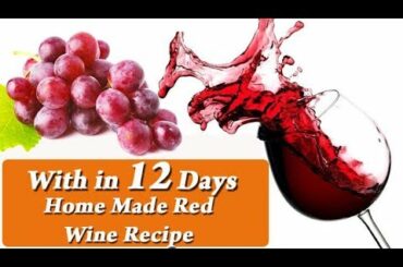 Grape wine making for wine lovers, malayalam grape wine recipe very easy method for all part 2