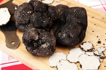 Cultural, Culinary & Truffle Hunting Experience Tour in Abruzzo Italy