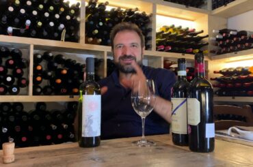 Verdicchio dei Castelli di Jesi Il Bacco, Fattoria Coroncino Tasting Notes Dec 2019